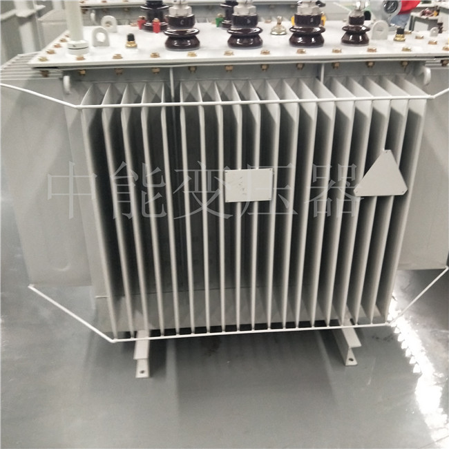 新乡S20-800KVA变压器